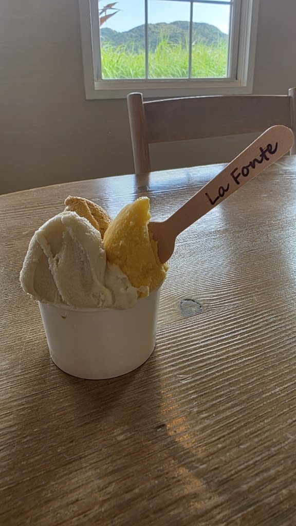 La Fonte Cafe Reservations | Tatsugo, Kagoshima