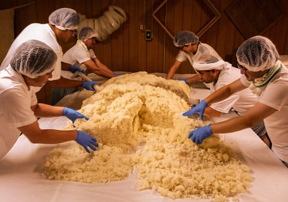 Hamachidori Sake Brewery Tasting Tour | Kamaishi, Iwate