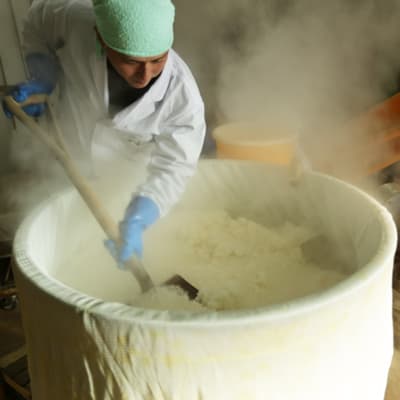 Tanabe Sake Brewery Tasting Tour | Eiheiji, Fukui