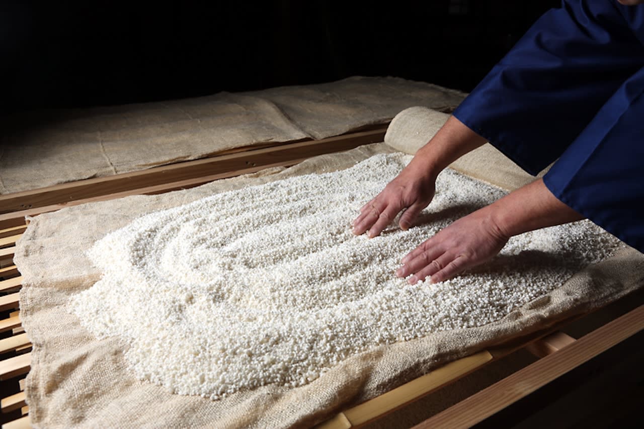 Tamura Sake Brewery Tasting Tour | Fussa, Tokyo
