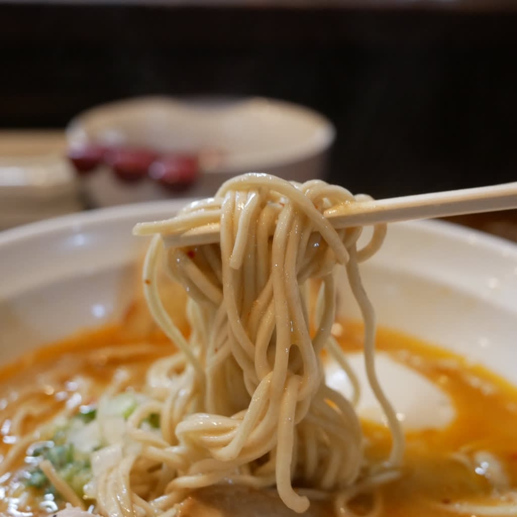 Hariken Ramen Restaurant Reservations | Tsukuba, Ibaraki