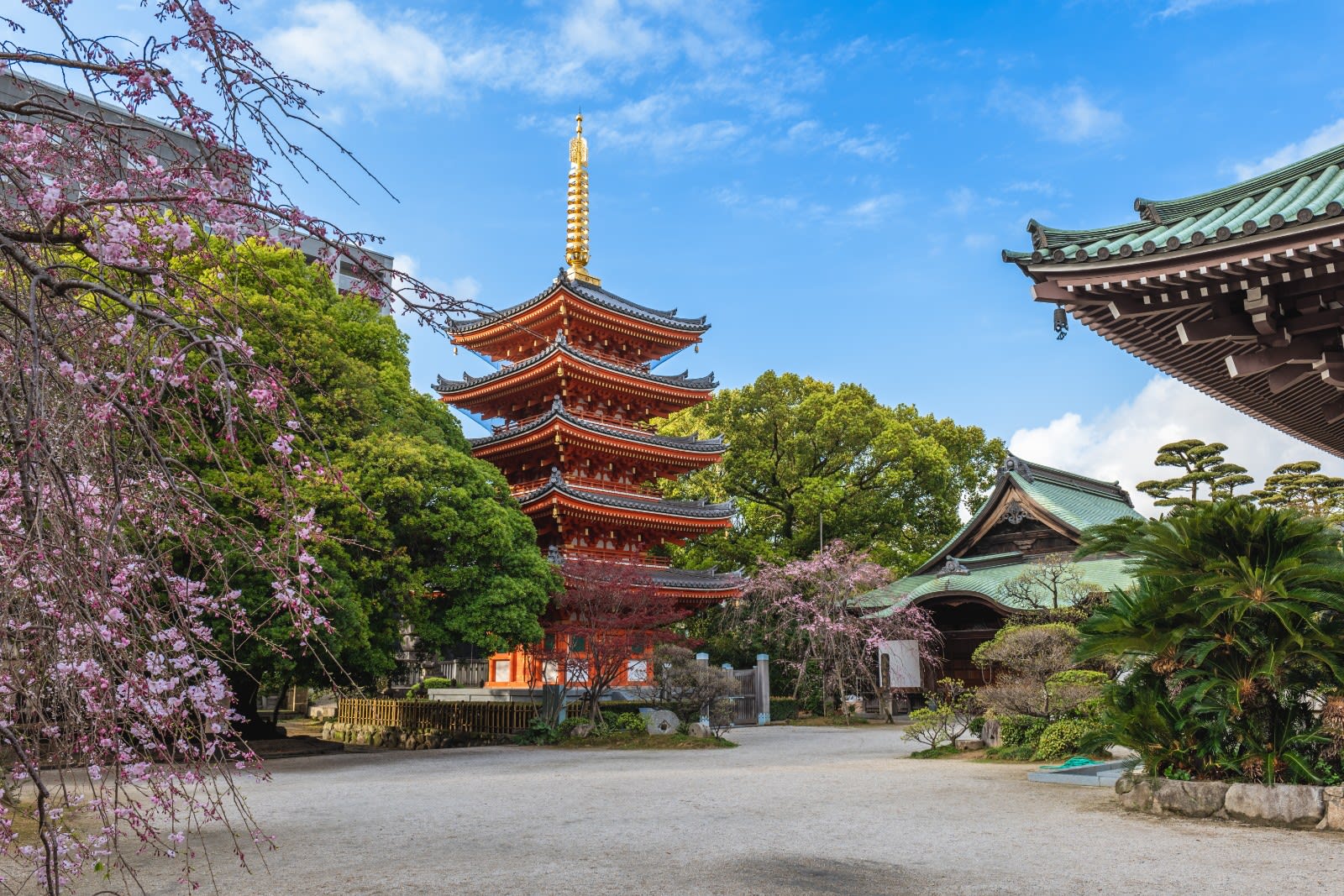 Best Things to Do in Fukuoka: Top Attractions & Dining Guide