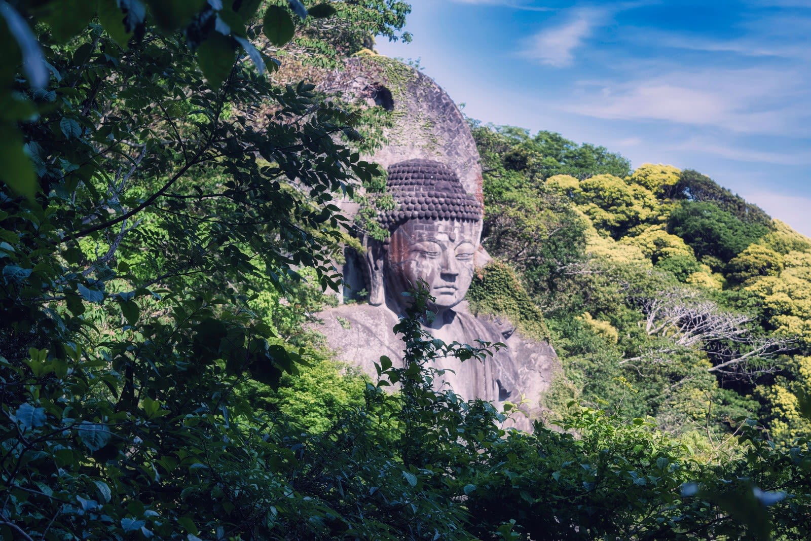 Best Things to Do in Chiba: Top Attractions & Dining Guide
