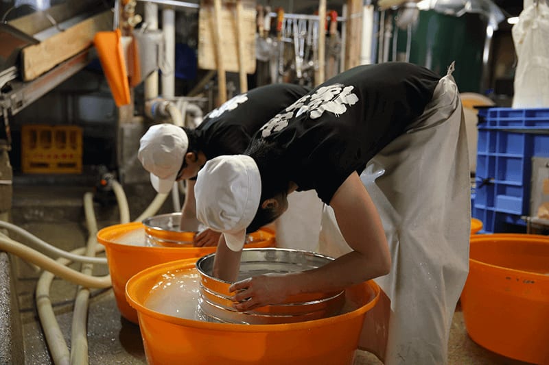 Dewazakura Sake Brewery Tasting Tour | Tendo, Yamagata