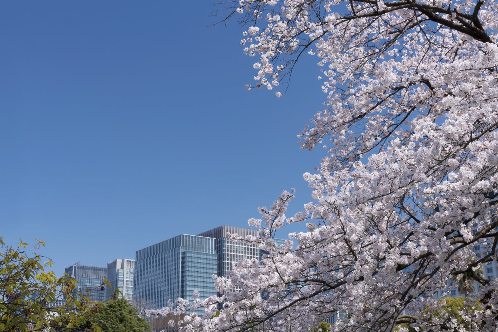 Hibiya