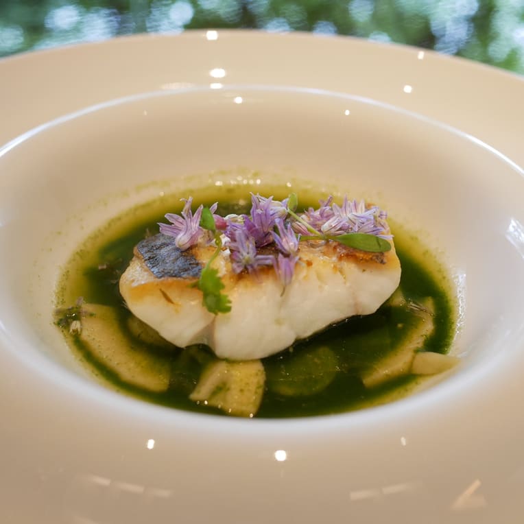Le Jardin Gourmand Restaurant Reservations | Nishi Ward, Hiroshima
