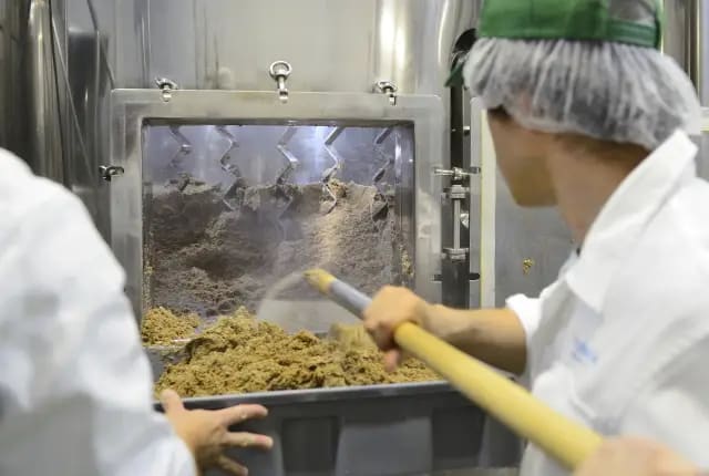 Koganei Sake Brewery Tasting Tour | Atsugi, Kanagawa