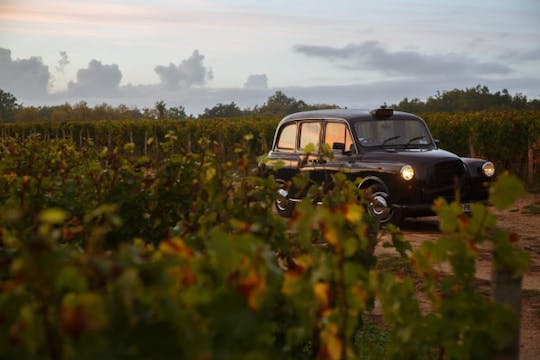 Tour Reservation for Winery Tours in Saint-Emilion (Bordeaux)