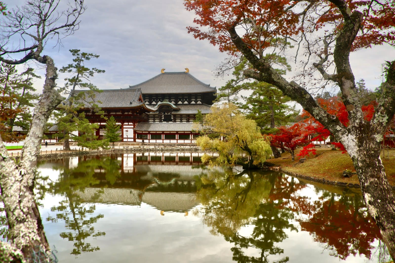 Best Things to Do in Nara: Top Attractions & Dining Guide