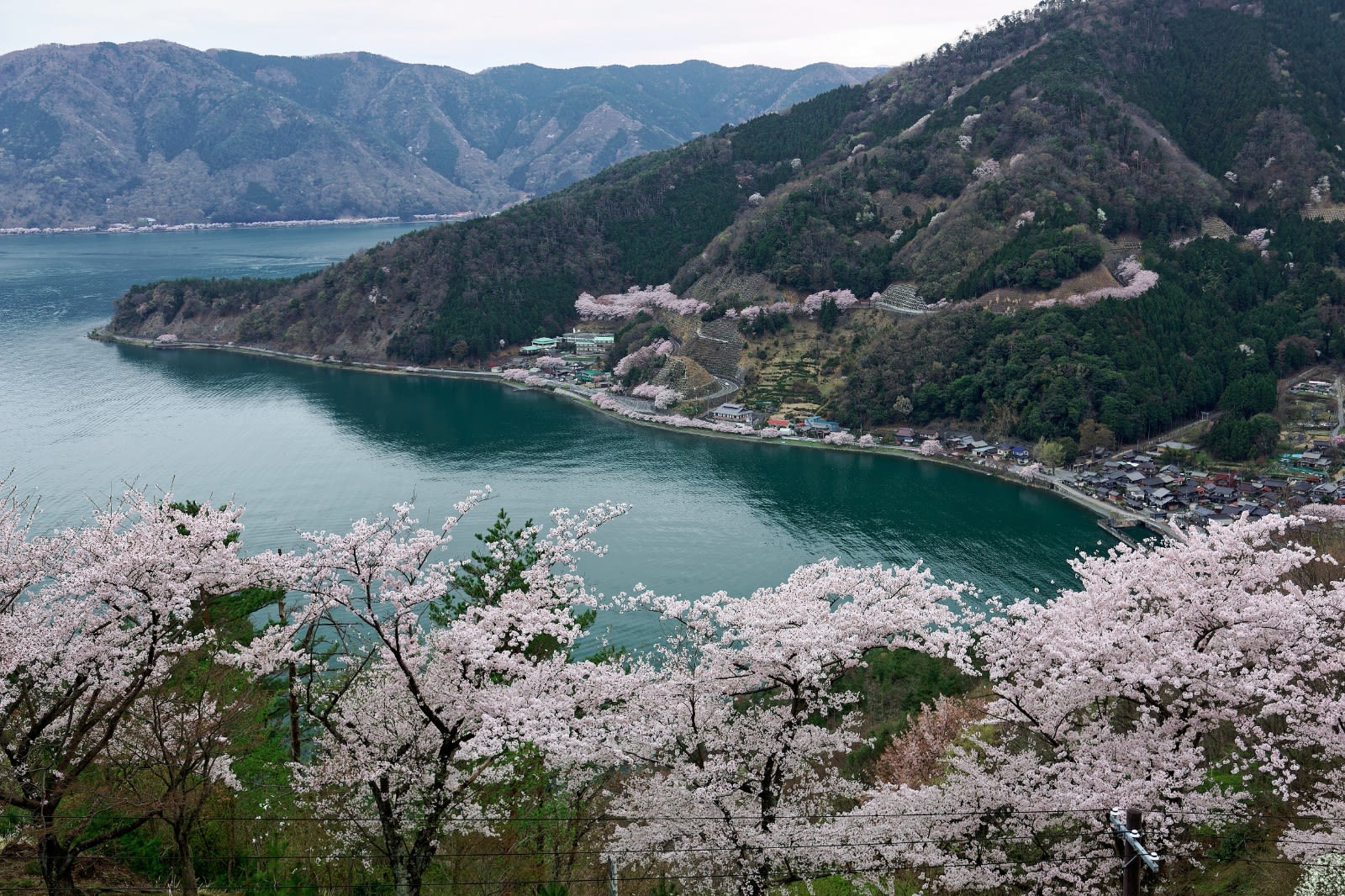 Shiga