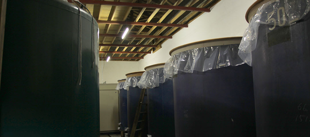 Siwa Sake Brewery Tasting Tour | Shiwa, Iwate