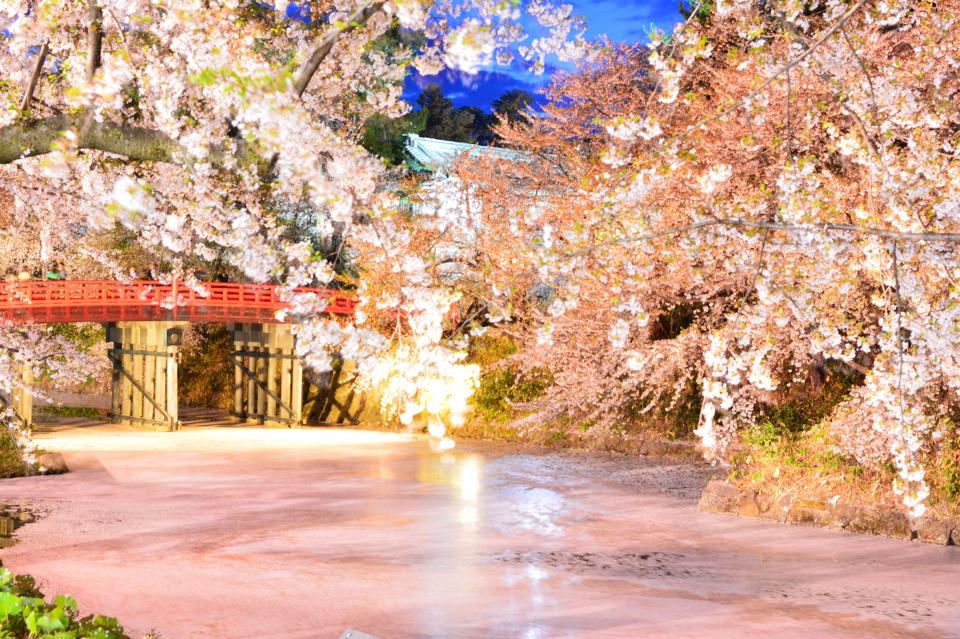 Tsugaru