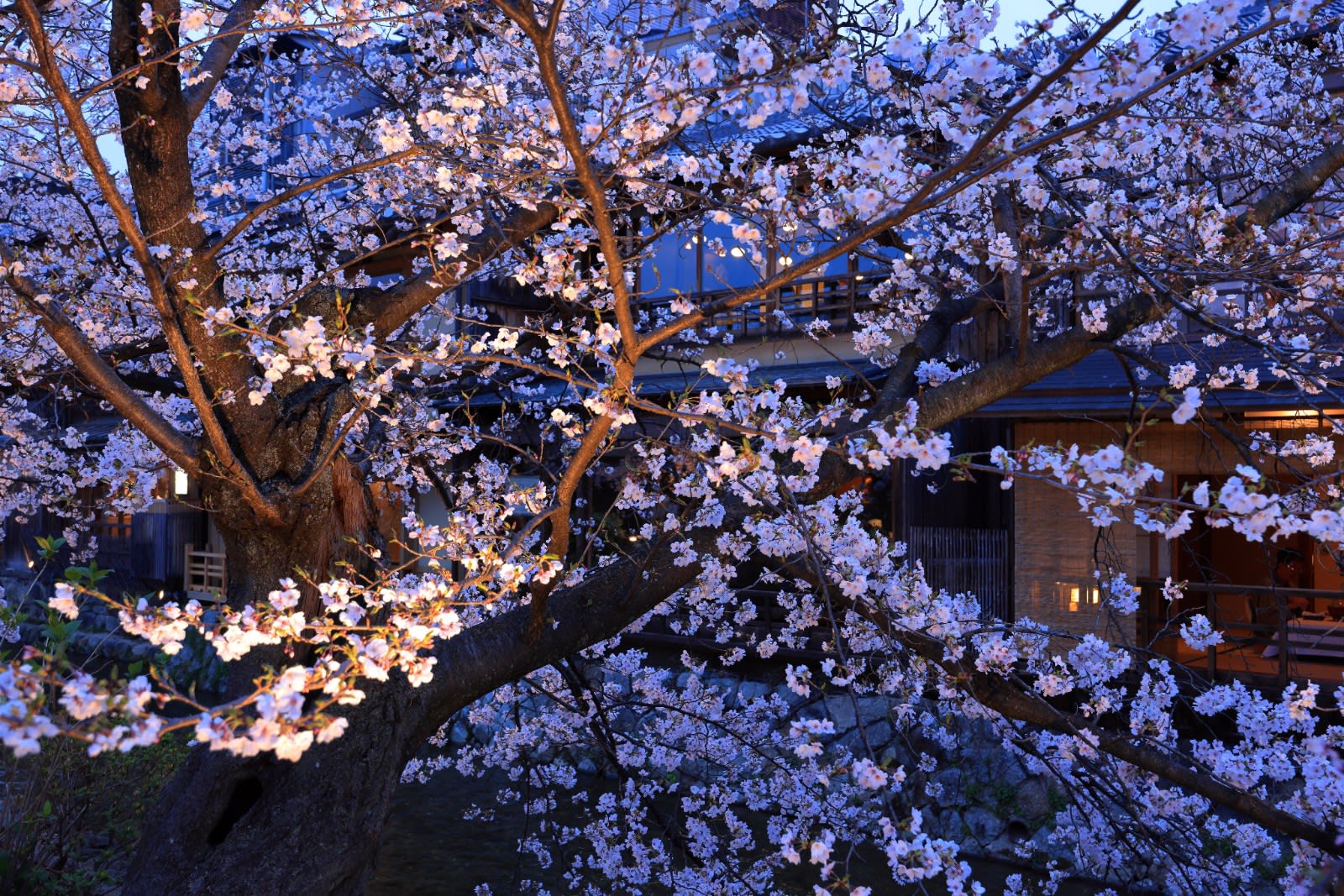 Gion