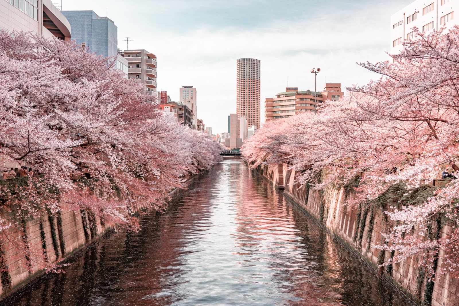 Nakameguro
