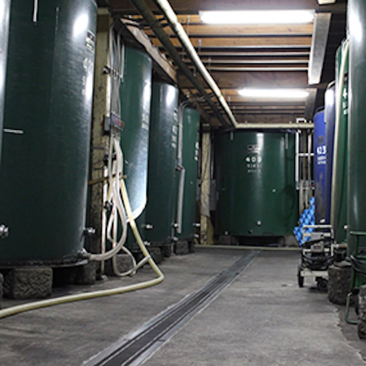 Kurosawa Sake Brewery Tasting Tour | Sakuho, Nagano