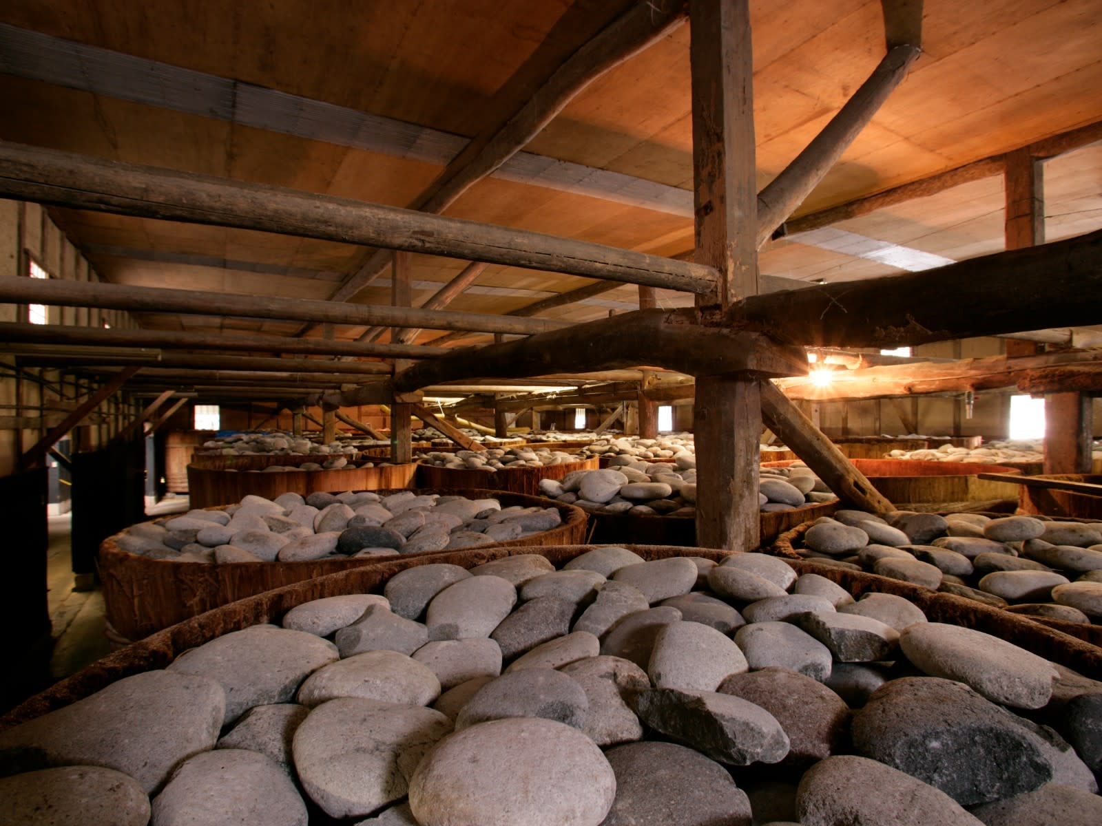 Morita Sake Brewery Tasting Tour | Nagoya, Aichi