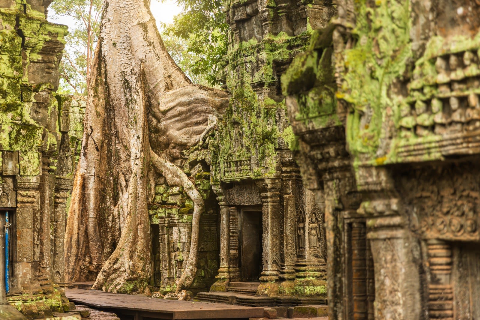 Siem reap