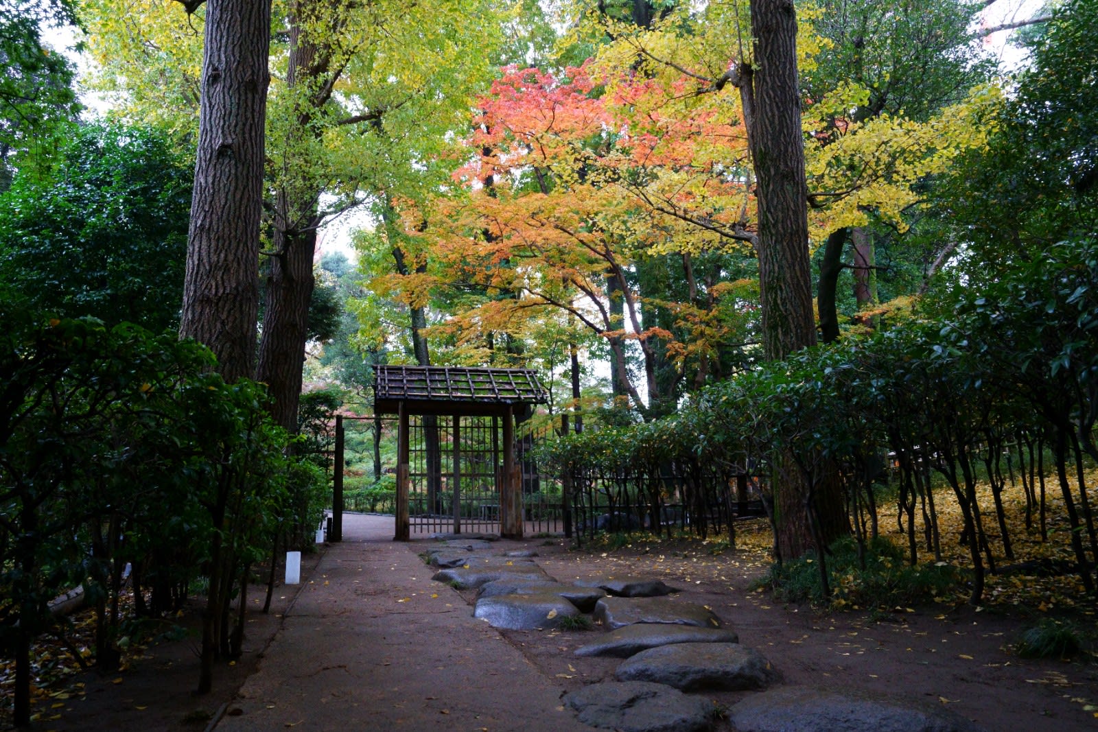Ogikubo