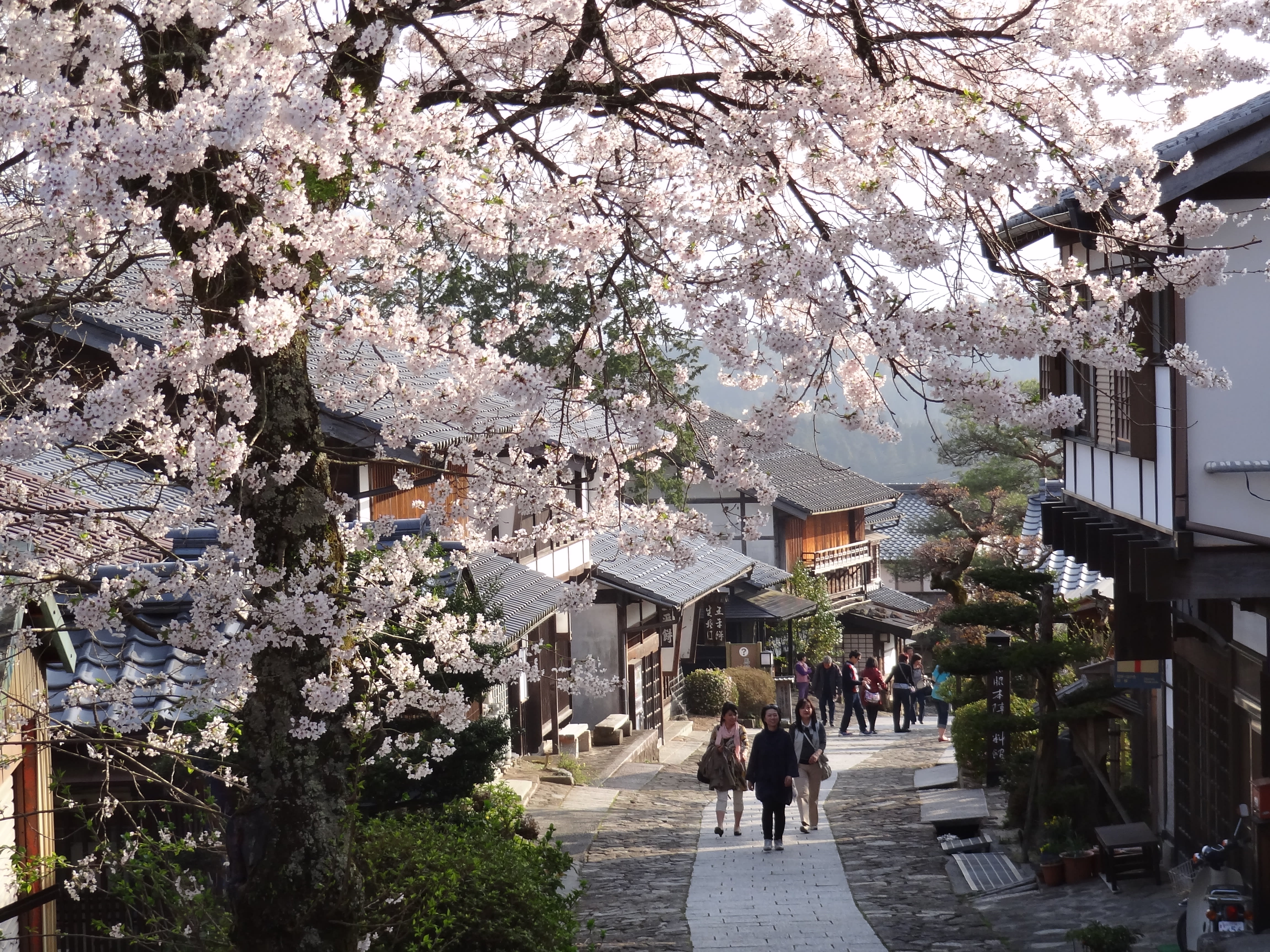 Hida