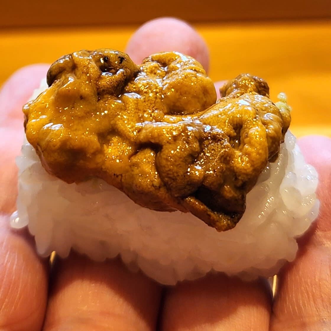 Yakko Sushi Restaurant Reservations | Amakusa, Kumamoto