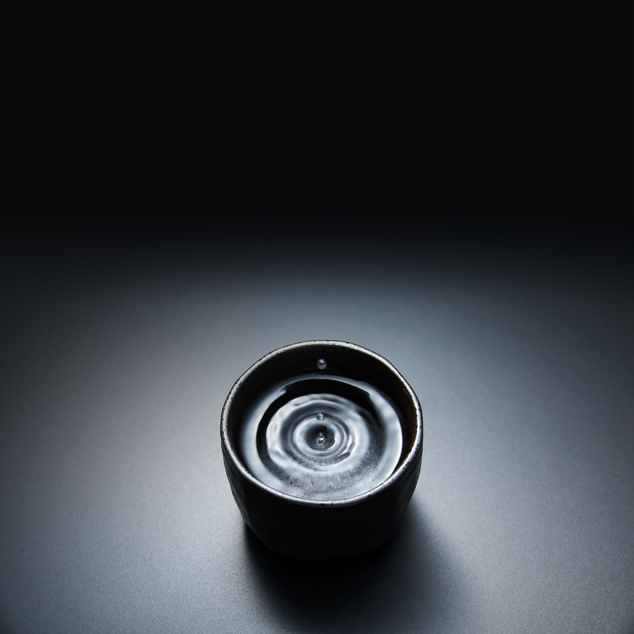 Ota Sake Brewery Tasting Tour | Kusatsu, Shiga
