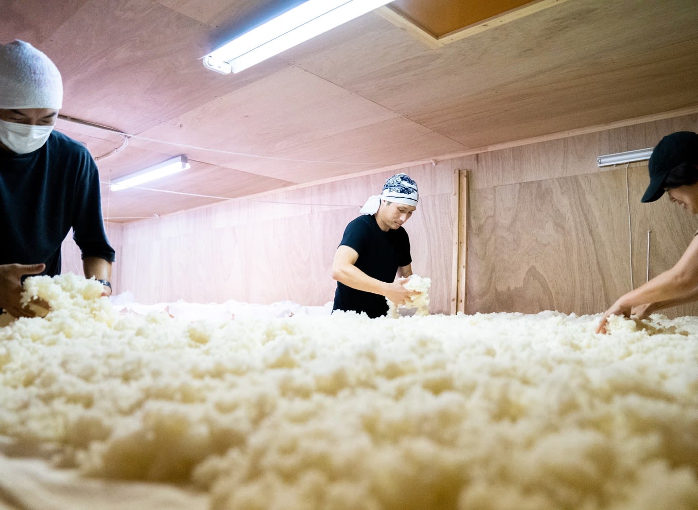 Yamanokotobuki Sake Brewery Tasting Tour | Kurume, Fukuoka