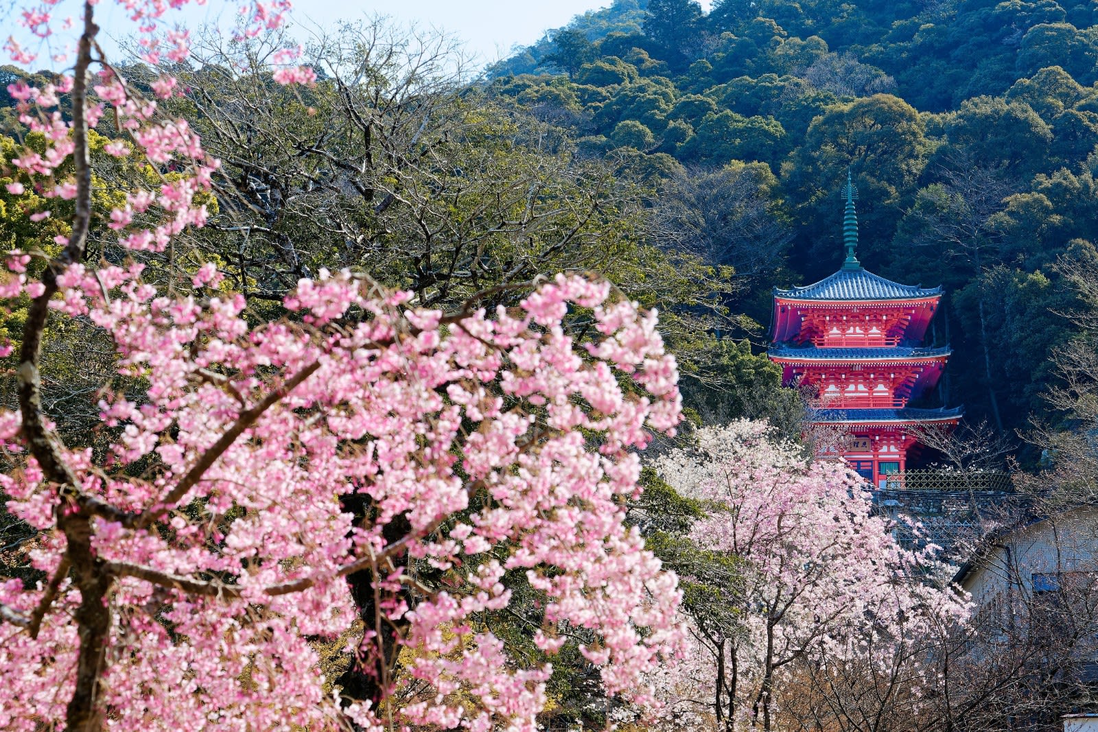 Gifu