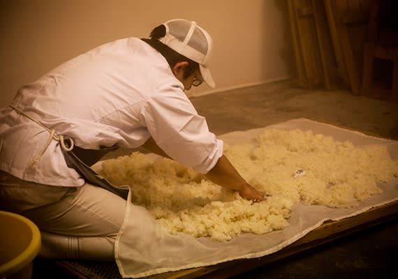 Hamachidori Sake Brewery Tasting Tour | Kamaishi, Iwate