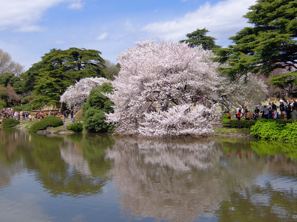 Nishitokyo