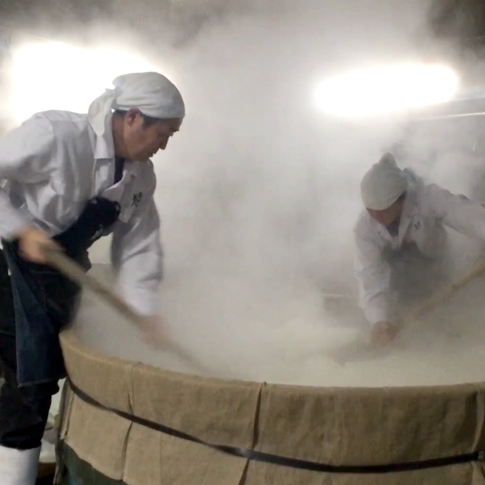 Nanbu Bijin Sake Brewery Tasting Tour | Ninohe, Iwate