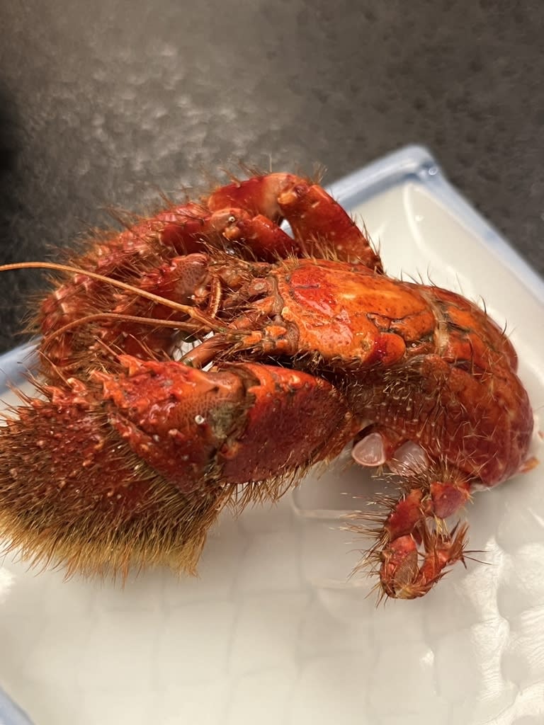 Misuzu Restaurant Reservations | Kihoku, Mie