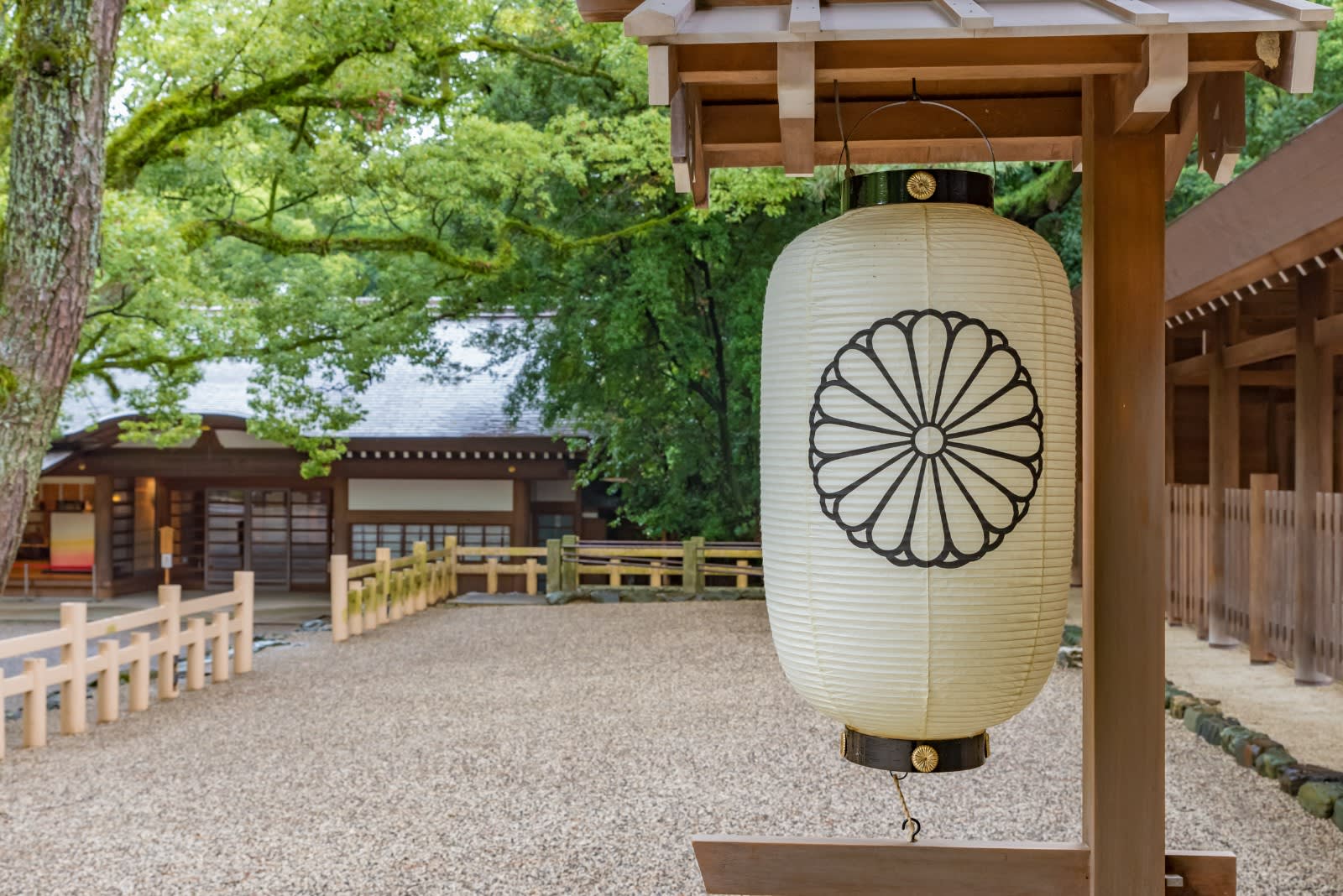 Midori