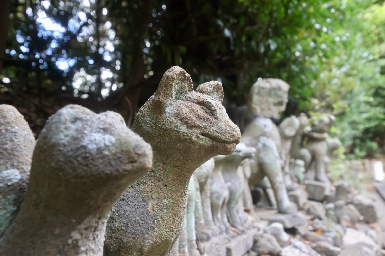 Shimane