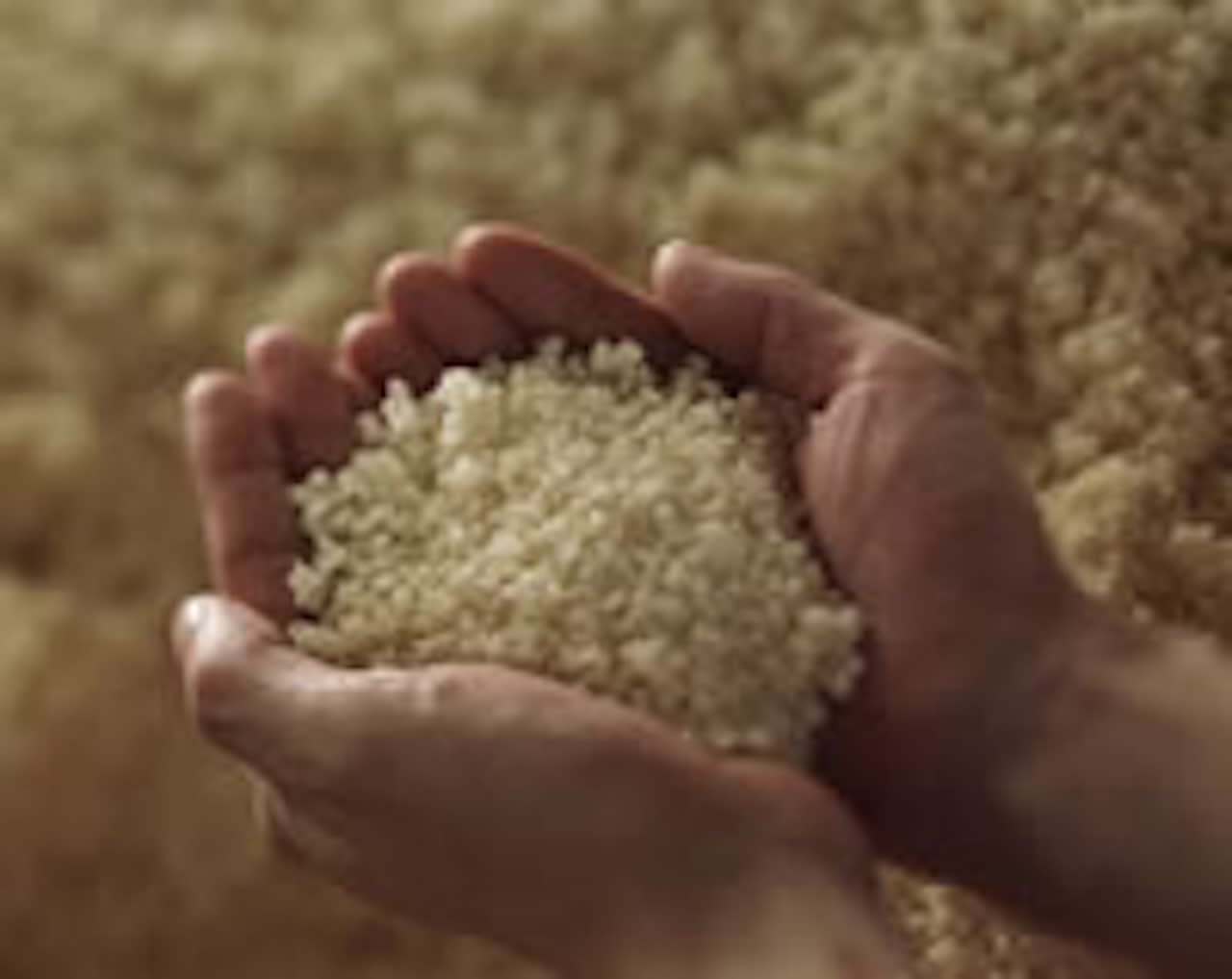 Nihonsakari Sake Brewery Tasting Tour | Nishinomiya, Hyogo