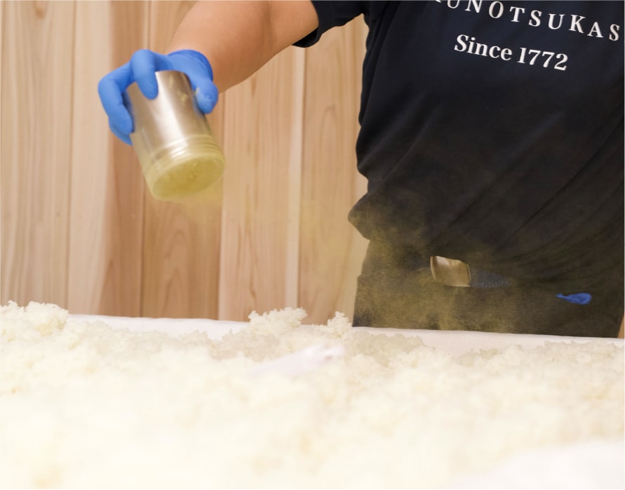 Kikunotsukasa Sake Brewery Tasting Tour | Shizukuishi, Iwate