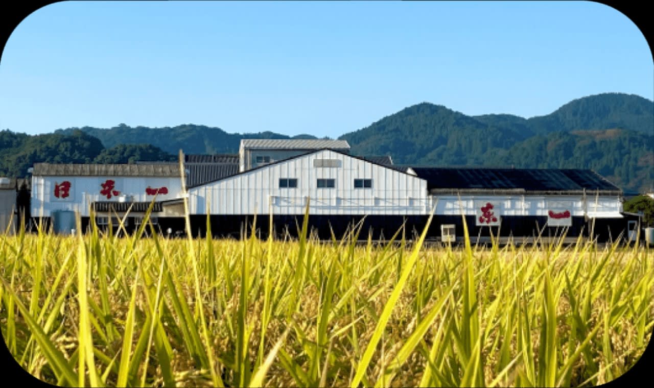 Gochoda Sake Brewery Tasting Tour | Ureshino, Saga