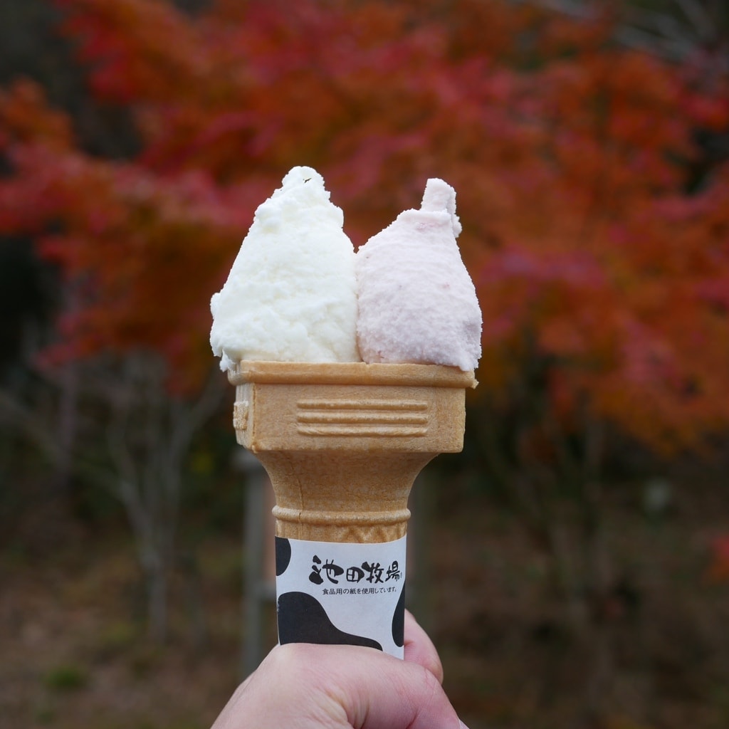 Gelato Shop Koso Restaurant Reservations | Higashiomi, Shiga