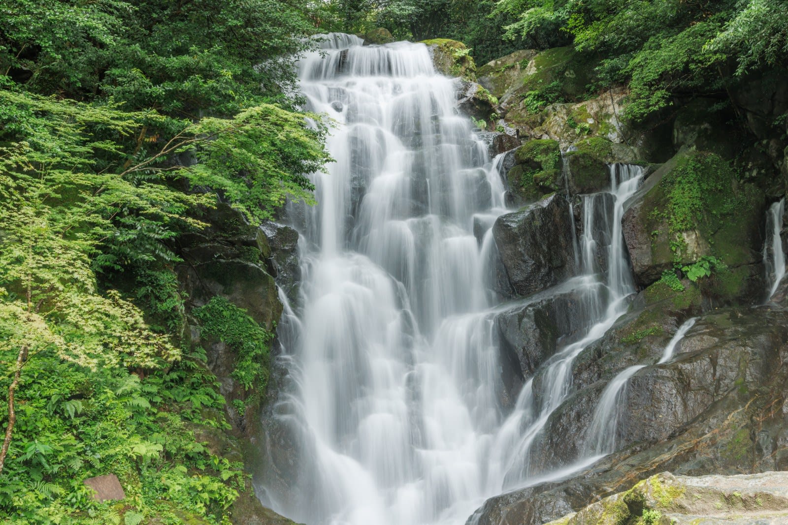 Best Things to Do in Fukuoka: Top Attractions & Dining Guide