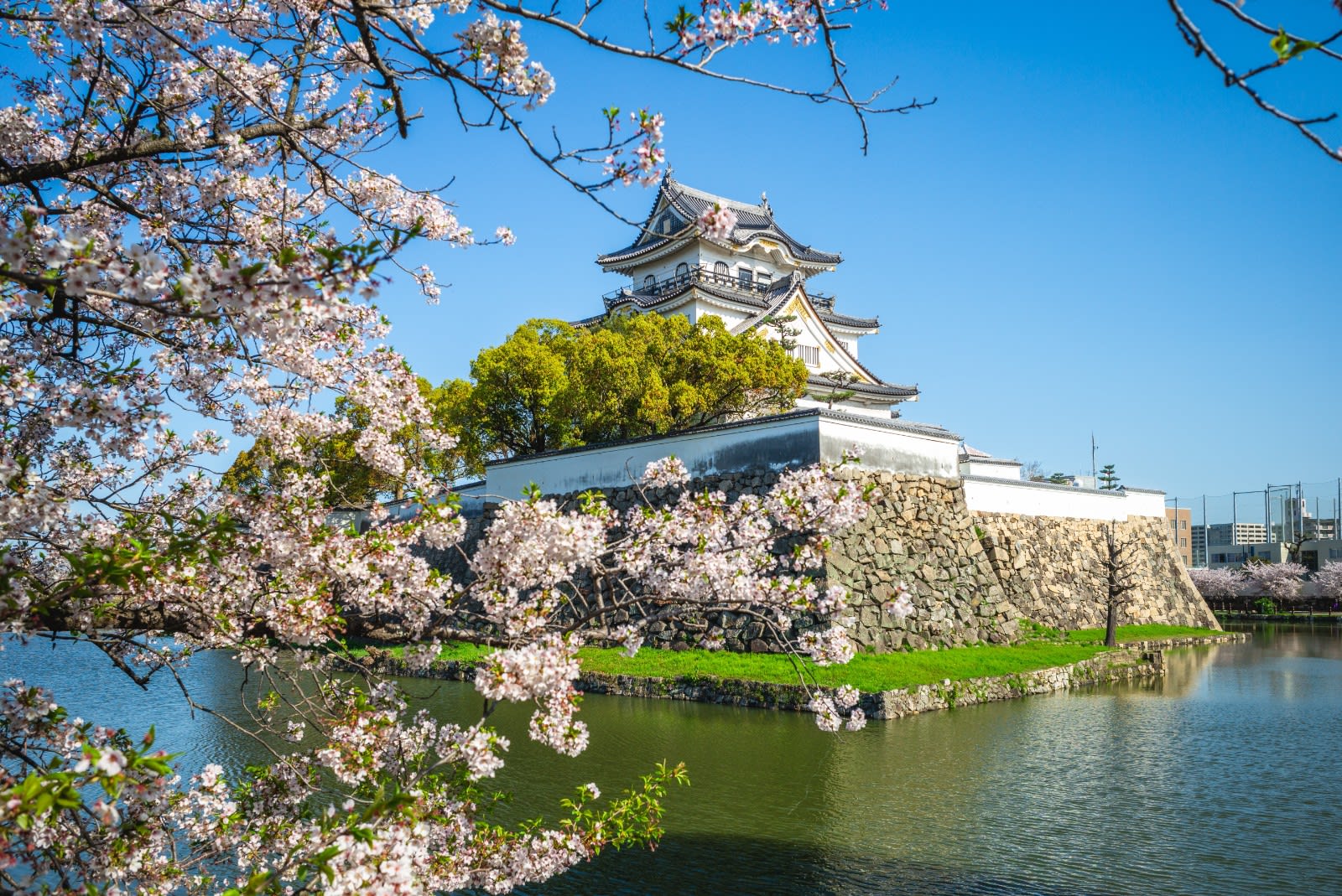 Things to do and eat in Osaka Castle