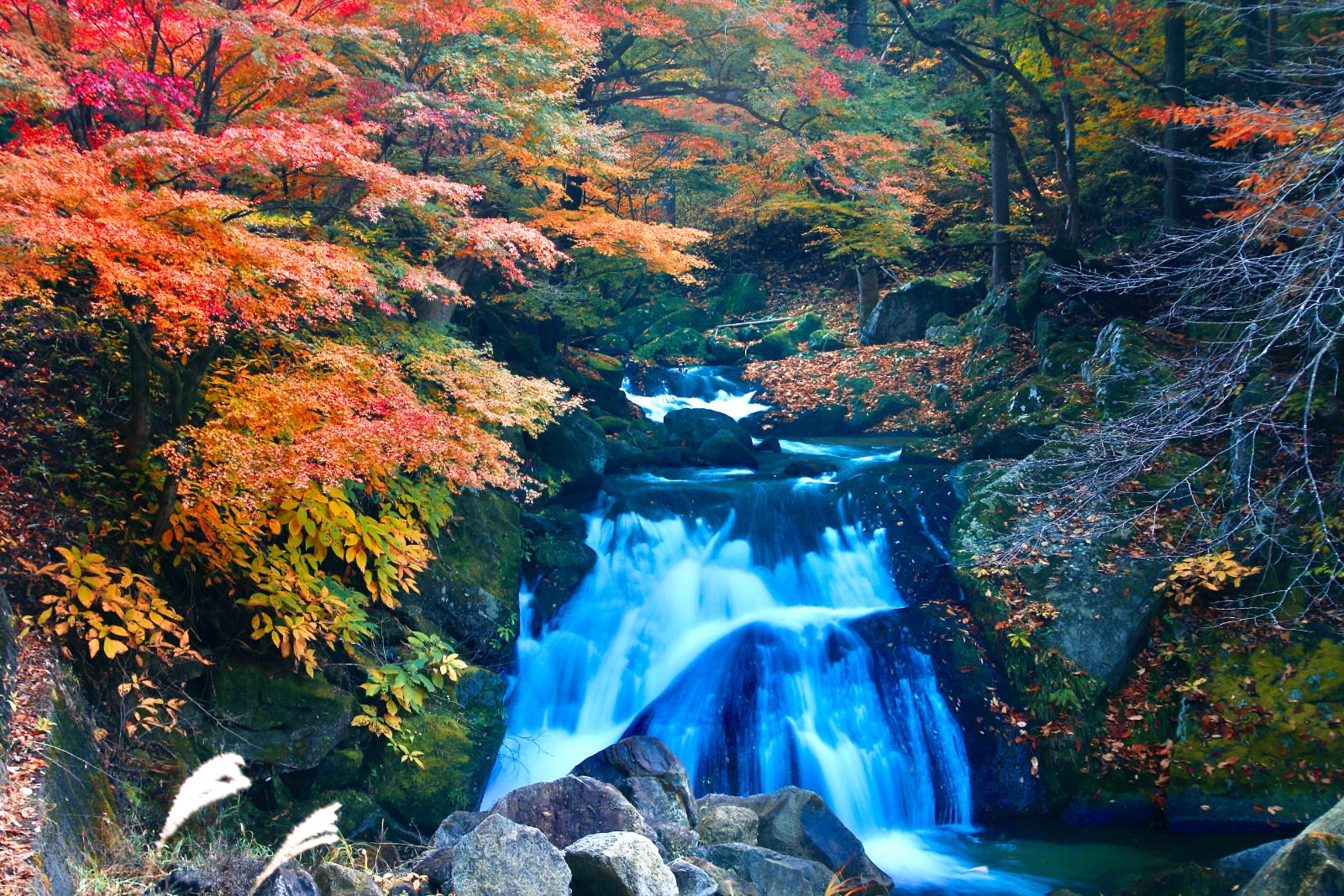 Fukushima