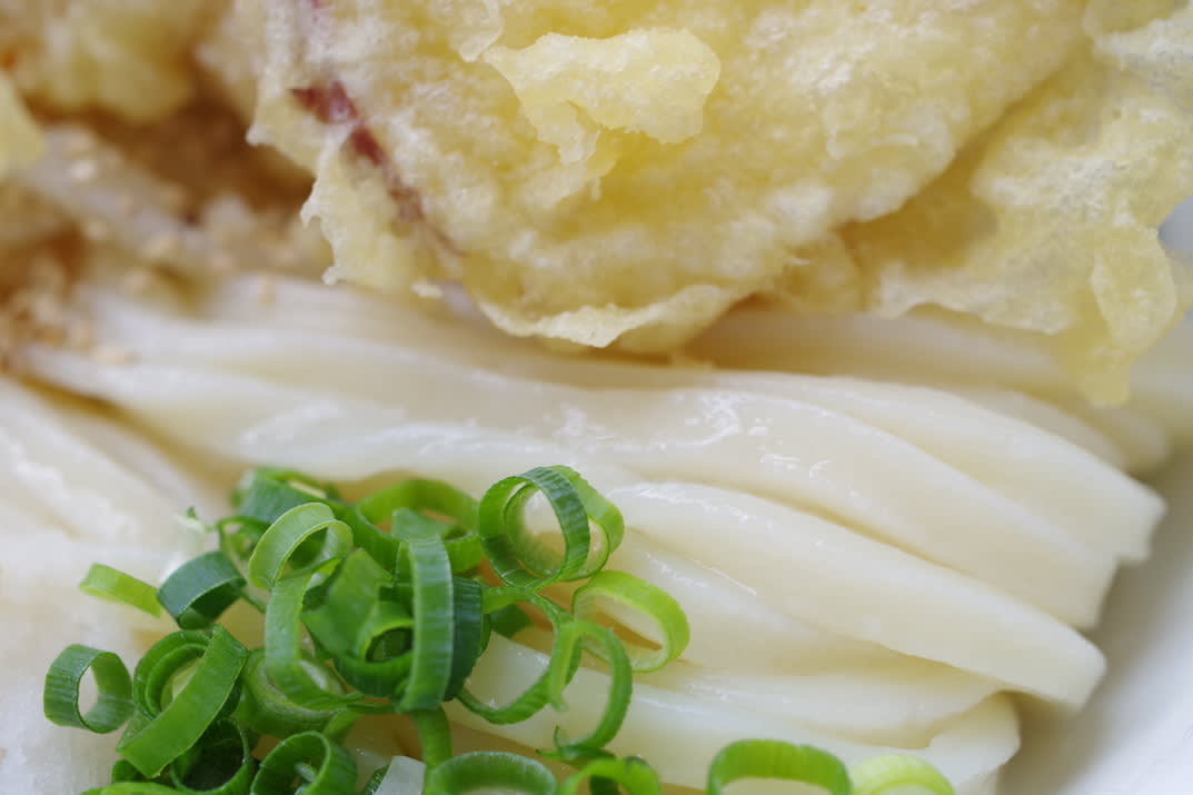 Udon Tomosaku Restaurant Reservations | Kurashiki, Okayama (Futago)