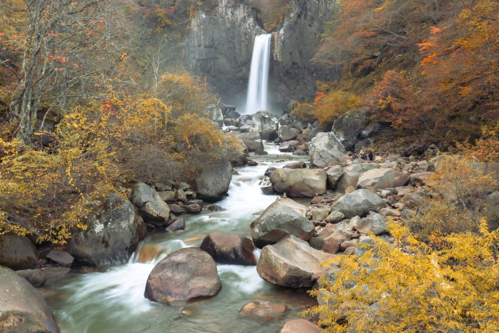 Niigata