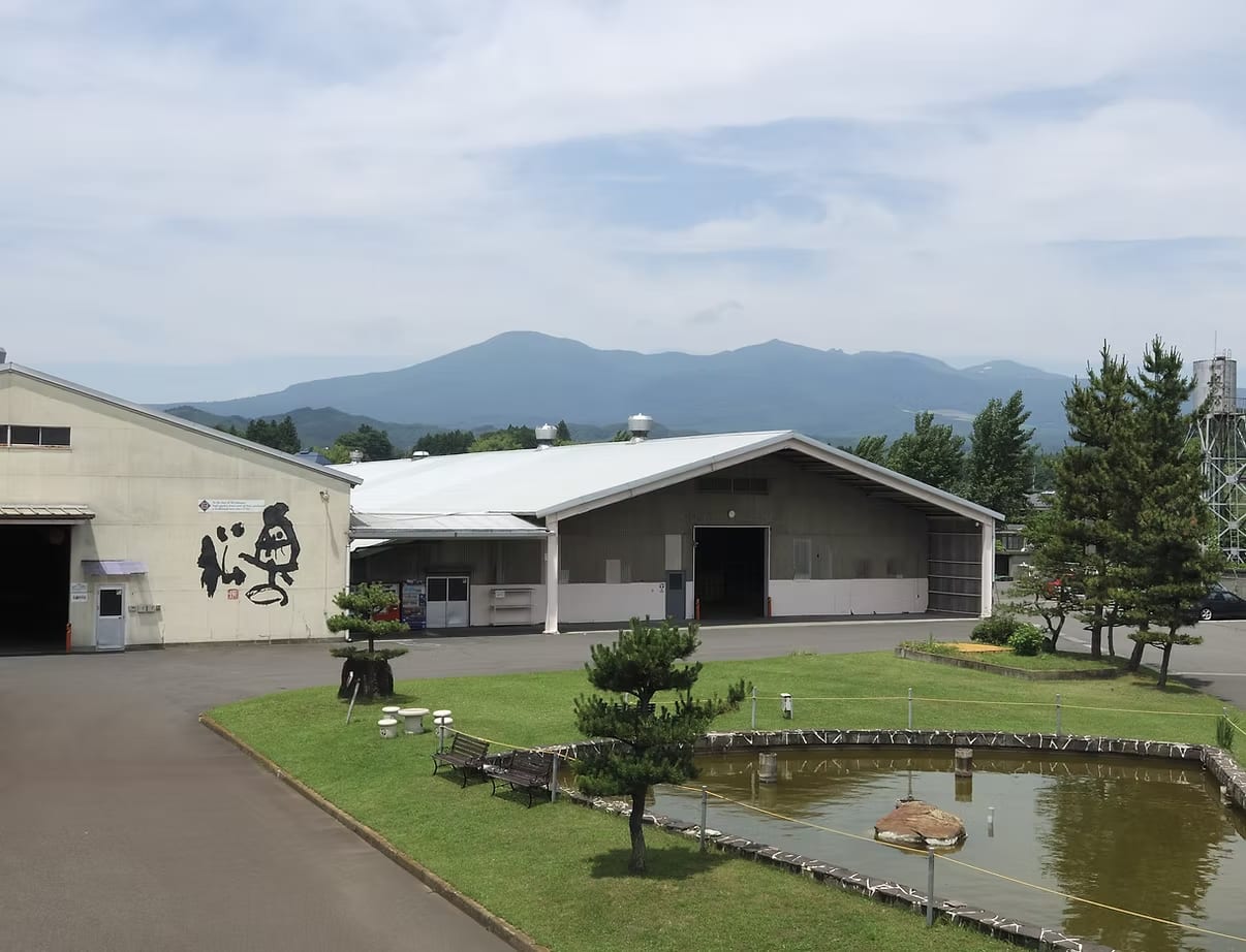 Okunomatsu Sake Brewery Tasting Tour | Nihommatsu, Fukushima