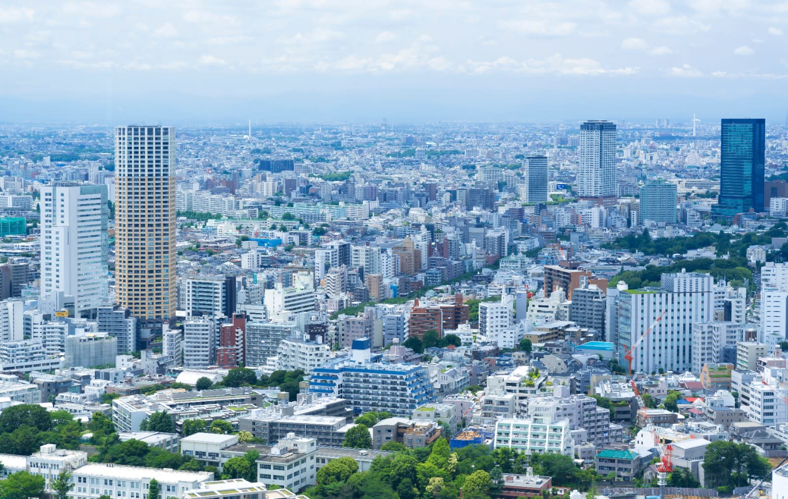 Ebisu