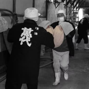 Kobayashi  Honten Sake Brewery Tasting Tour | Kasuya, Fukuoka