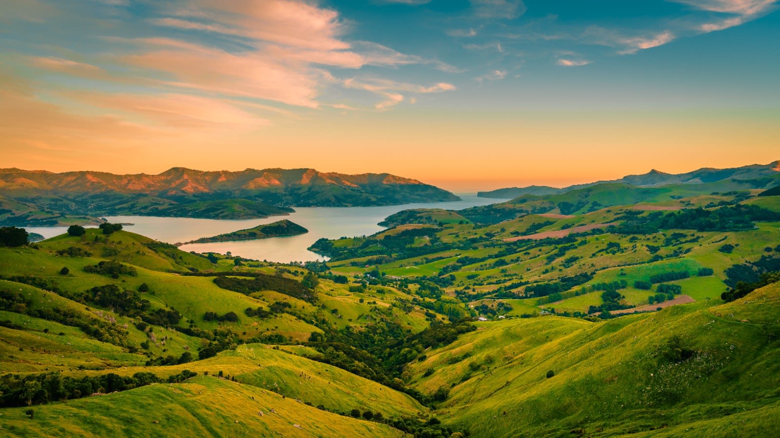 New zealand
