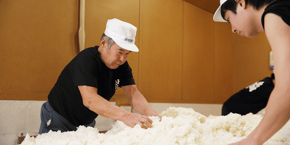 Dewazakura Sake Brewery Tasting Tour | Tendo, Yamagata