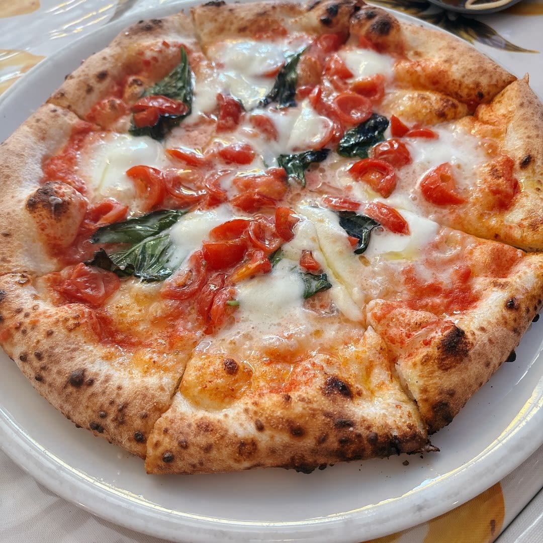 Pizzeria Solare Restaurant Reservations | Moriyama, Shiga