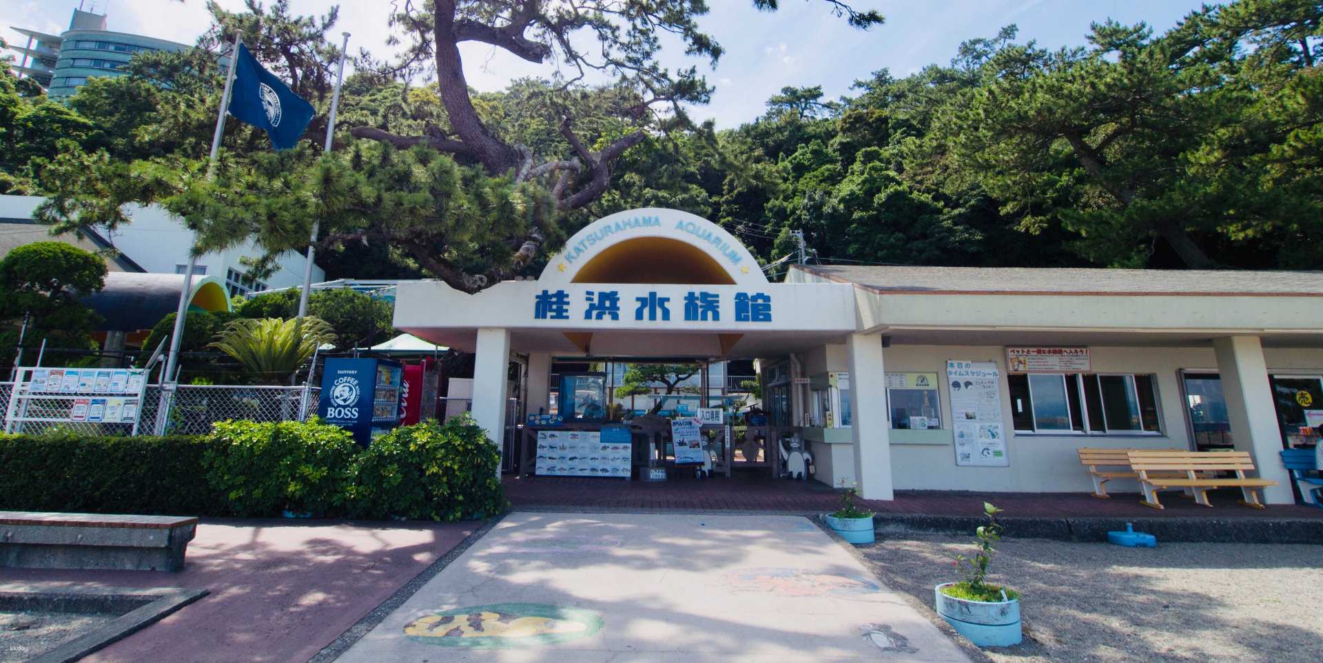 Admission Ticket for Katsurahama Aquarium near Katsurahama Beach (Kochi)