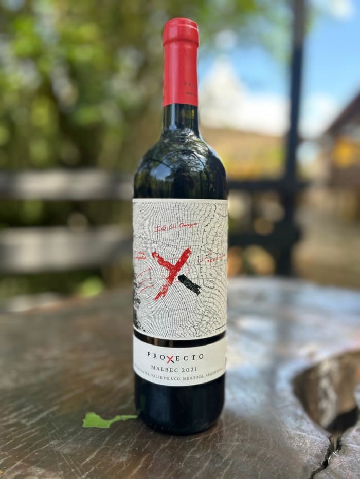 Vinho Tinto Proyecto X Malbec